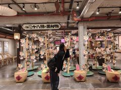 -重庆十八梯传统风貌区