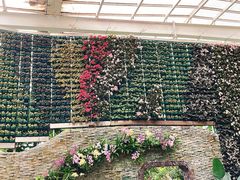 -石家庄市植物园