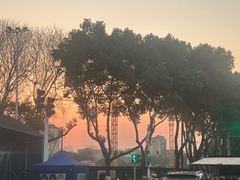 -浙江越秀外国语学院