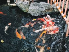 -小榄公饭店·岭南庭院餐厅(民安北路店)