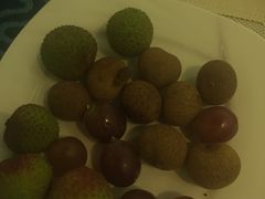 -瑞德姆美人鱼海底演艺主题餐厅(亚龙湾店)