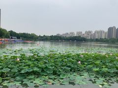 -南翔镇银翔湖公园