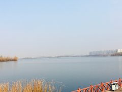 -丁香湖公园