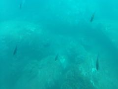 -亚龙湾海底世界