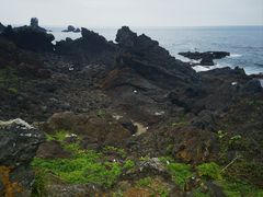 -涉地可支