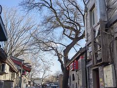 -庭院·冰煮羊·北京涮肉(西单店)
