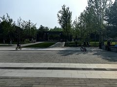 -北坞公园
