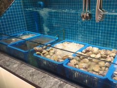 -曼格活海鲜·牛排自助(光明蓝鲸店)