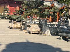 -上海东林寺(金山区)