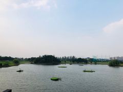 -银涛高尔夫练习场(徐泾店)