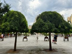 -西宁市东关清真大寺