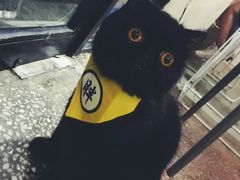 -怪兽咖啡 Monster Cafe