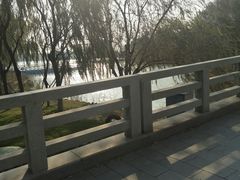 -大兴滨河森林公园