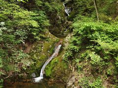 -牛背梁国家森林公园