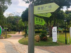 景点-阳台山森林公园