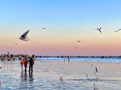 -老虎石海上公园