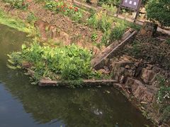 -许家山