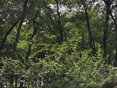 -黑龙江中医药大学