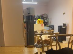 -猫咪派对(江南西店)