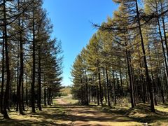 -塞罕坝国家级自然保护区