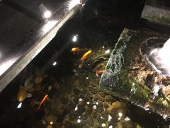 -功德林(南京西路店)