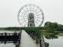 -太湖湖滨国家湿地公园-停车场