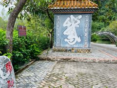 -靖西鹅泉风景区