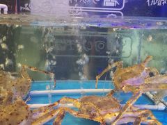 水产区-四海蒸鲜蒸汽海鲜自助(北戴河店)