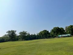 -上海滨江森林公园