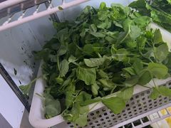 -金鼎雪山牦牛杂火锅(理县总店)