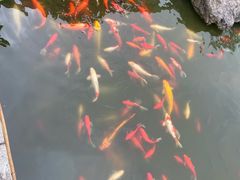 -梅园