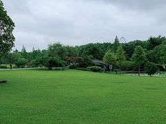 -宜兴龙背山森林公园
