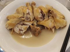 三十九年氧吧鸡-鹭园酒家·四十年老字号