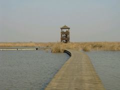 -盐城丹顶鹤湿地生态旅游区