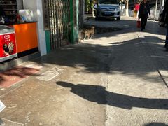 -中国移动沟通100服务厅(三元里大道服务厅)