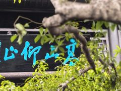 -八大山人梅湖景区