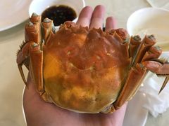 -王宝和酒家(黄浦店)