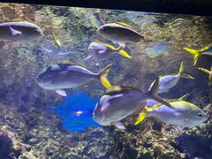 -南昌融创海世界
