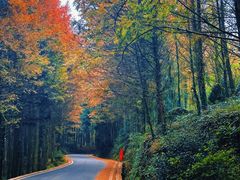 -山王坪喀斯特国家生态公园