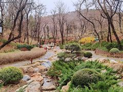 -大连植物园