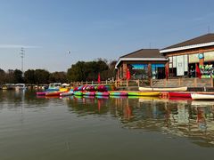 -上海海湾国家森林公园