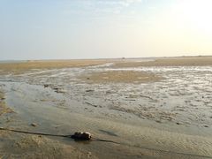 -北海金海湾红树林生态旅游区