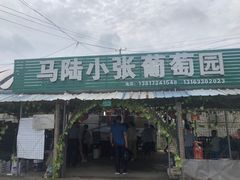 -马陆小张葡萄园农家乐