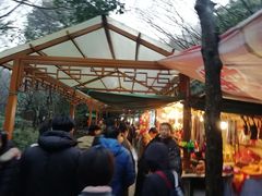 -普陀山风景区-佛顶山