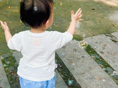 -晓港公园