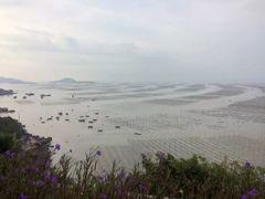 -北岐滩涂