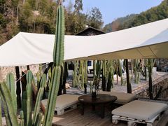 -MOJ coffee(瓯海泽雅水碓坑店)