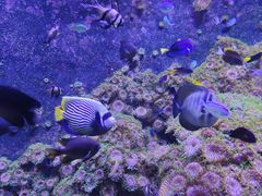 -成都浩海立方海洋公园