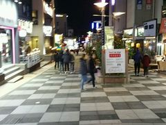 -宝健路步行街(Pedestrian Shopping Street)