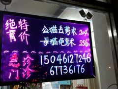 android_upload_pic-中农大我爱我爱24h动物医院·中医针灸·猫专科·骨科医疗中心(双井店)